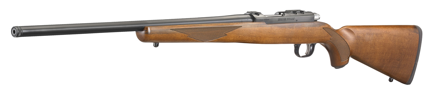 4 - 2023-06-05T073443.486